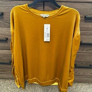 Gold velour top